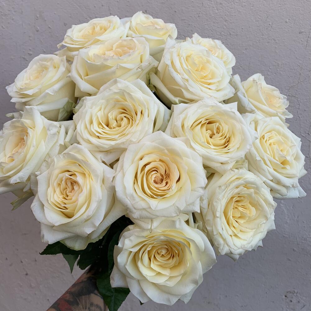 Охапка ароматных пионовидных роз Охапка ароматных пионовидных роз